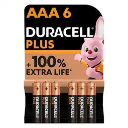 Pick n Pay Liquor Duracell Plus AAA Batteries 6 Pack offer