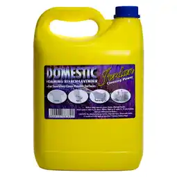 Pick n Pay Liquor Jordan Domestic Foaming Bleach 5L offer