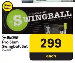 Makro Dunlop Pro Slam Swingball Set offer