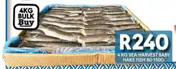 OBC Meat & Chicken Sea harvest baby hake fish offer