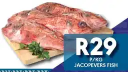 OBC Meat & Chicken Jacopevers fish offer