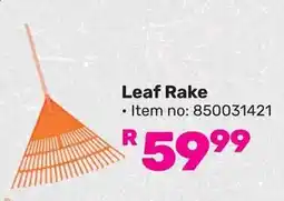 Game Garden Master Leaf Rake offer