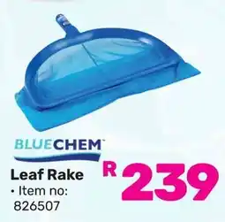 Game BLUECHEM Leaf Rake offer