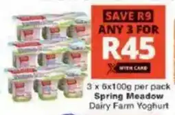 Checkers Spring Meadow Dairy Farm Yoghurt offer