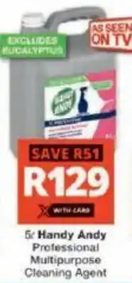 Checkers Handy Andy Professional Multipurpose Cleaning Agent offer