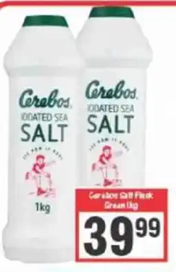 Big Save Cerebos salt offer