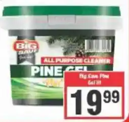 Big Save Big save all purpose cleaner pine gel offer
