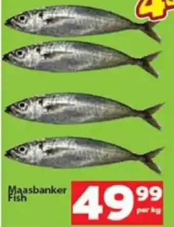 Check Save Maasbanker Fish offer