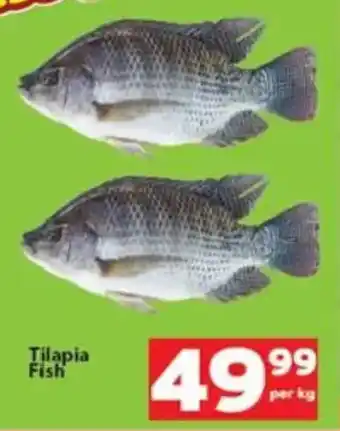 Check Save Tilapia Fish offer
