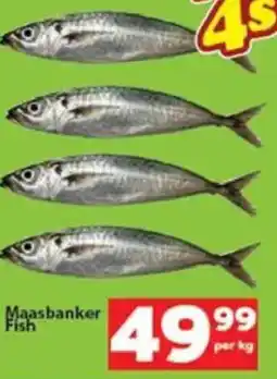Check Save Maasbanker Fish offer