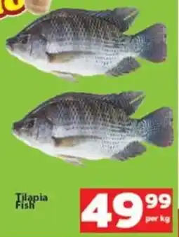Check Save Tilapia Fish offer