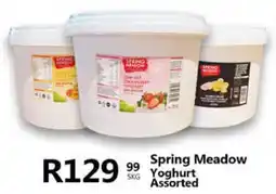 Take 'n Pay Spring Meadow Yoghurt Assorted offer