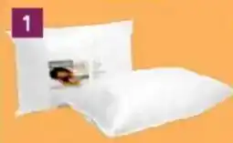 Bradlows Sleepmasters Hollowfibre Pillows offer