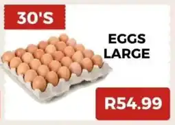 Saverite Eggs large offer
