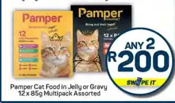 Pick n Pay Pamper Cat Food in Jelly or Gravy offer