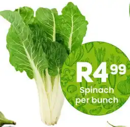 Take 'n Pay Spinach offer
