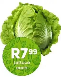 Take 'n Pay Lettuce offer
