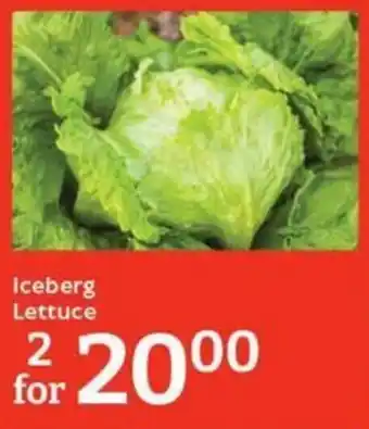 Oxford Freshmarket Iceberg Lettuce offer