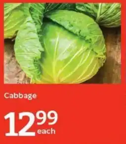 Oxford Freshmarket Cabbage offer