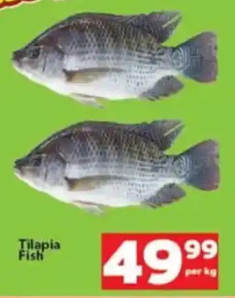Check Save Tilapia Fish offer