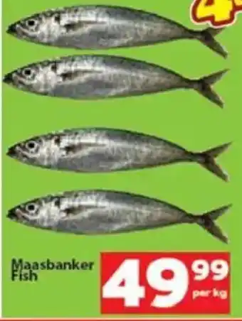 Check Save Maasbanker Fish offer