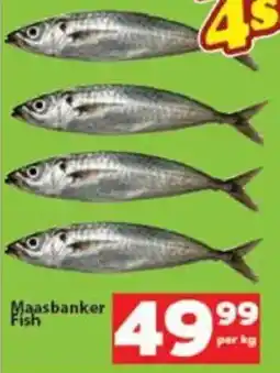 Check Save Maasbanker Fish offer
