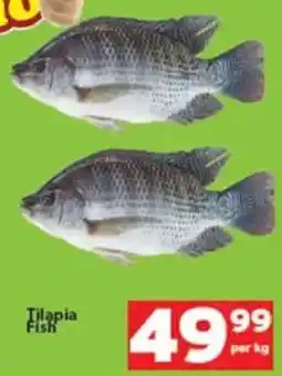 Check Save Tilapia Fish offer