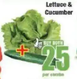 Boxer Lettuce & Cucumber offer