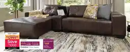 Bradlows Evolution Daybed offer