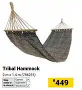 Builders Warehouse Tribal Hammock offer