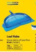 Builders Warehouse Blue Chem Leaf Skimmer Rake offer