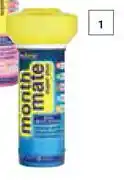 Builders Warehouse Pool Brite 1.5Kg Month Mate Floater-Each offer