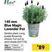Builders Warehouse Flora 140mm Blue Magic Lavender Pot offer
