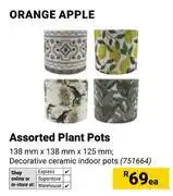 Builders Warehouse Orange Apple Assorted Plant Pots-Each offer
