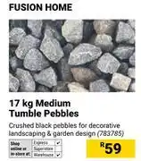 Builders Warehouse Fusion Home 17Kg Medium Tumble Pebbles offer