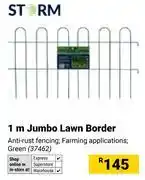 Builders Warehouse Storm 1m Jumbo Lawn Border offer