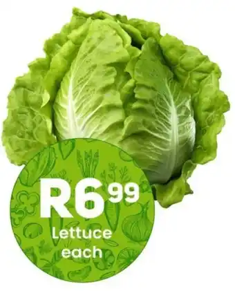 Take 'n Pay Lettuce offer