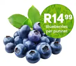 Take 'n Pay Blueberries offer