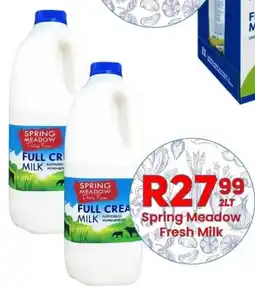 Take 'n Pay Spring Meadow Fresh Milk offer