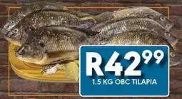 OBC Meat & Chicken Obc tilapia offer