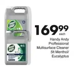 Save Handy Andy Proffessional Multisurface Cleaner Menthol/ Eucalyptus offer