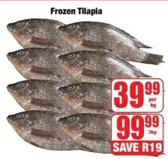 Boxer Frozen Tilapia offer