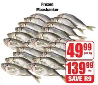 Boxer Frozen Maasbanker offer