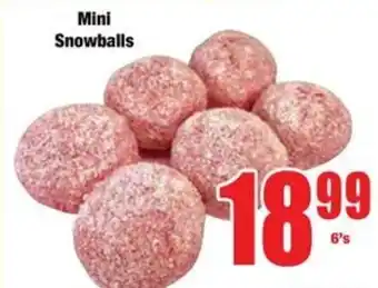 Boxer Mini Snowballs offer