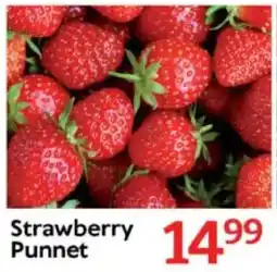 Oxford Freshmarket Strawberry Punnet offer