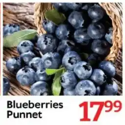 Oxford Freshmarket Blueberries Punnet offer