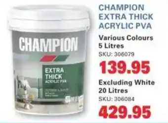 Cashbuild Champion extra thick acrylic pva offer