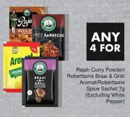 Save Rajah Curry Powder/ Robertsons Braai & Grill/ Aromat/ Robertsons Spice Sachet offer