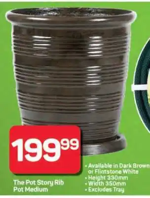 Pick n Pay Hypermarket The Pot Story Rib Pot Medium offer