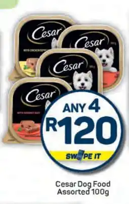 Pick n Pay Cesar Dog Food Assorted 100g offer